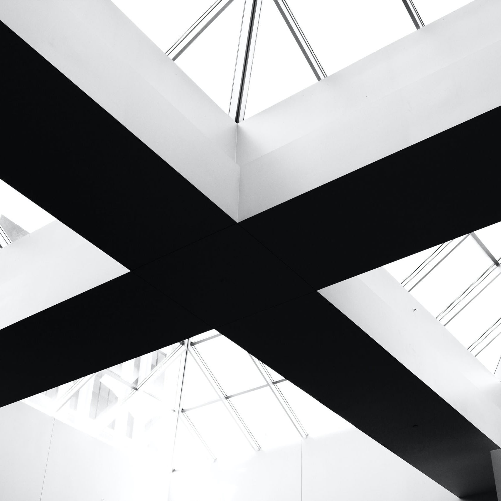 Multiwall Skylights