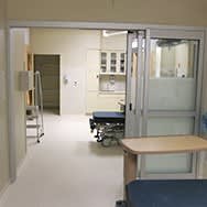 Manual Doors- ICU