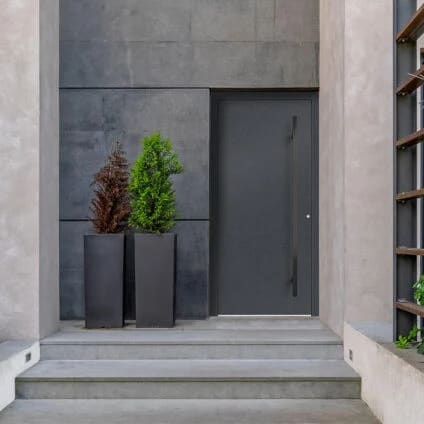 Entry Door