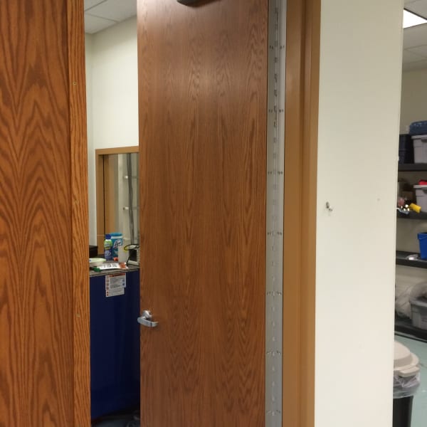 Radiation Shielded Door