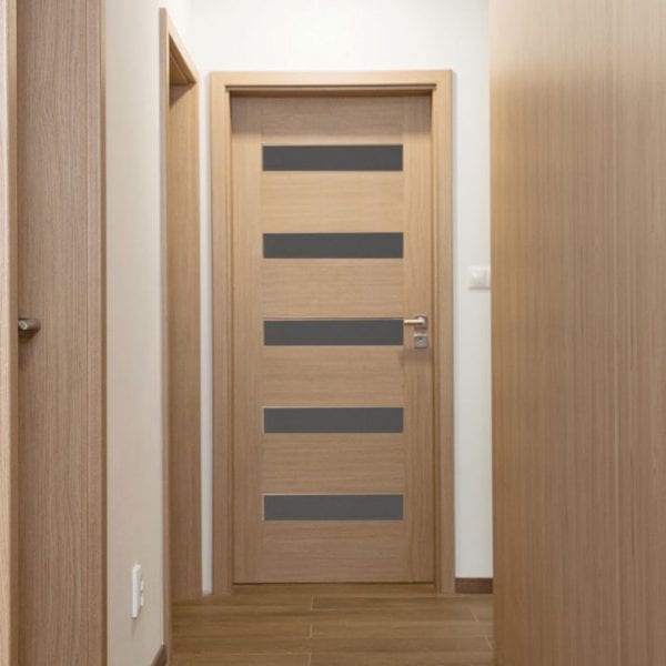Contemporary Interior Door