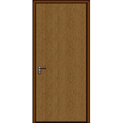 Flush Door