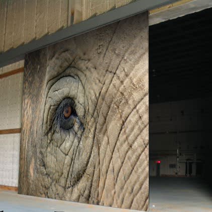 Sliding Elephant Door