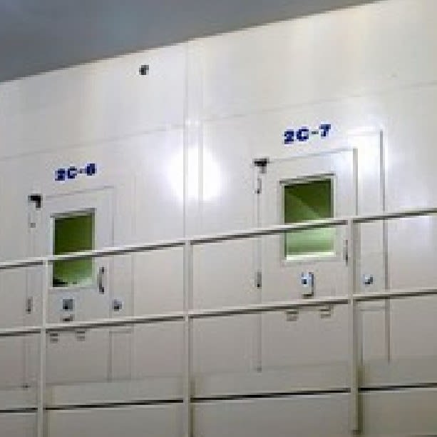 Hollow Metal Detention Door