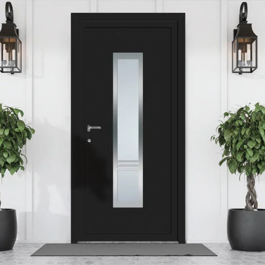 Entry Door