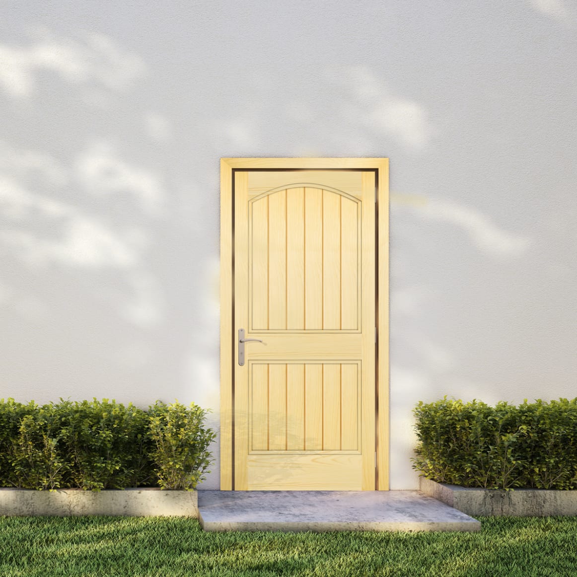 Entry Door