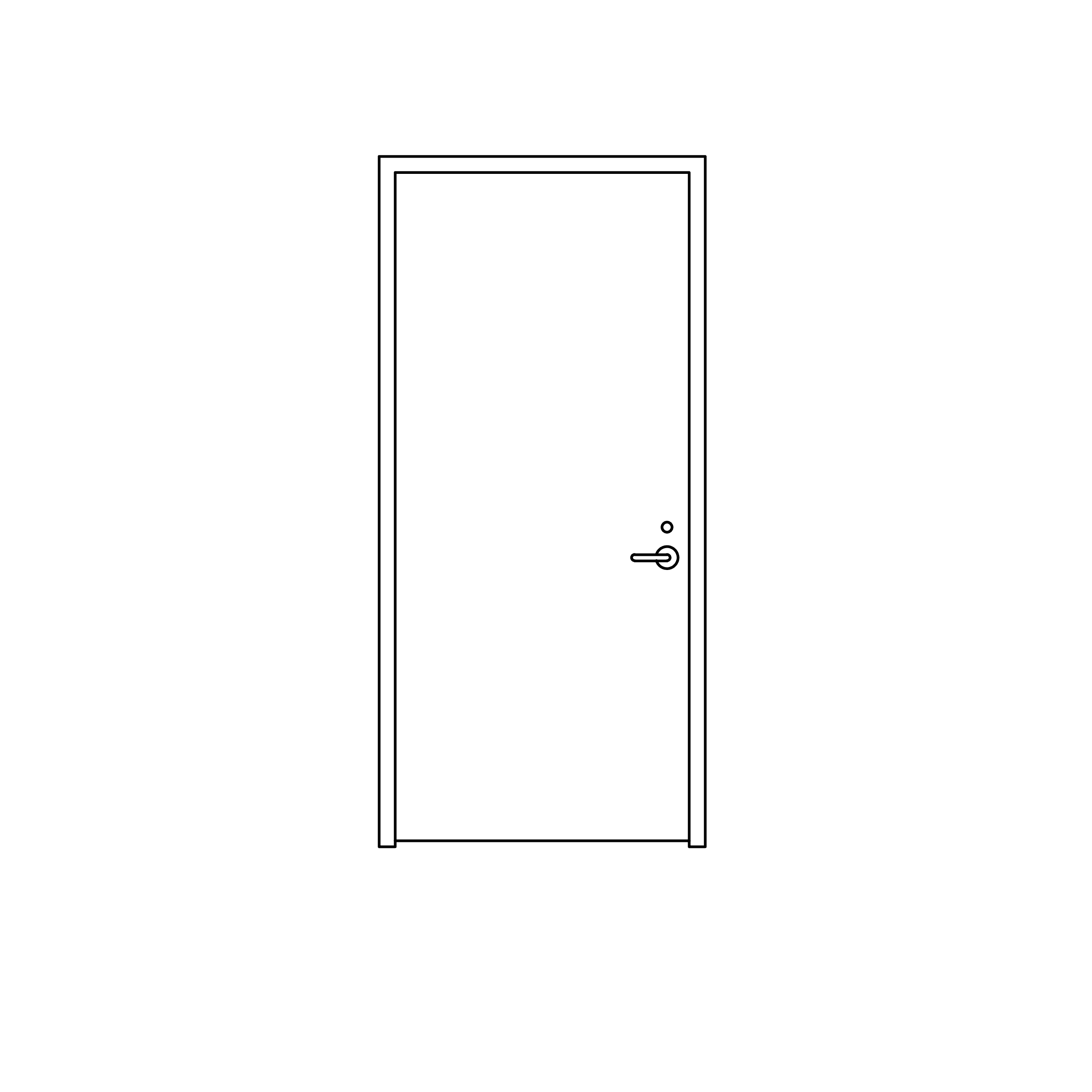 Entry Door