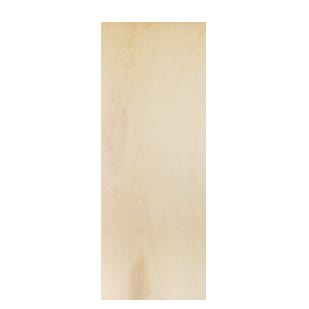 Flush Door