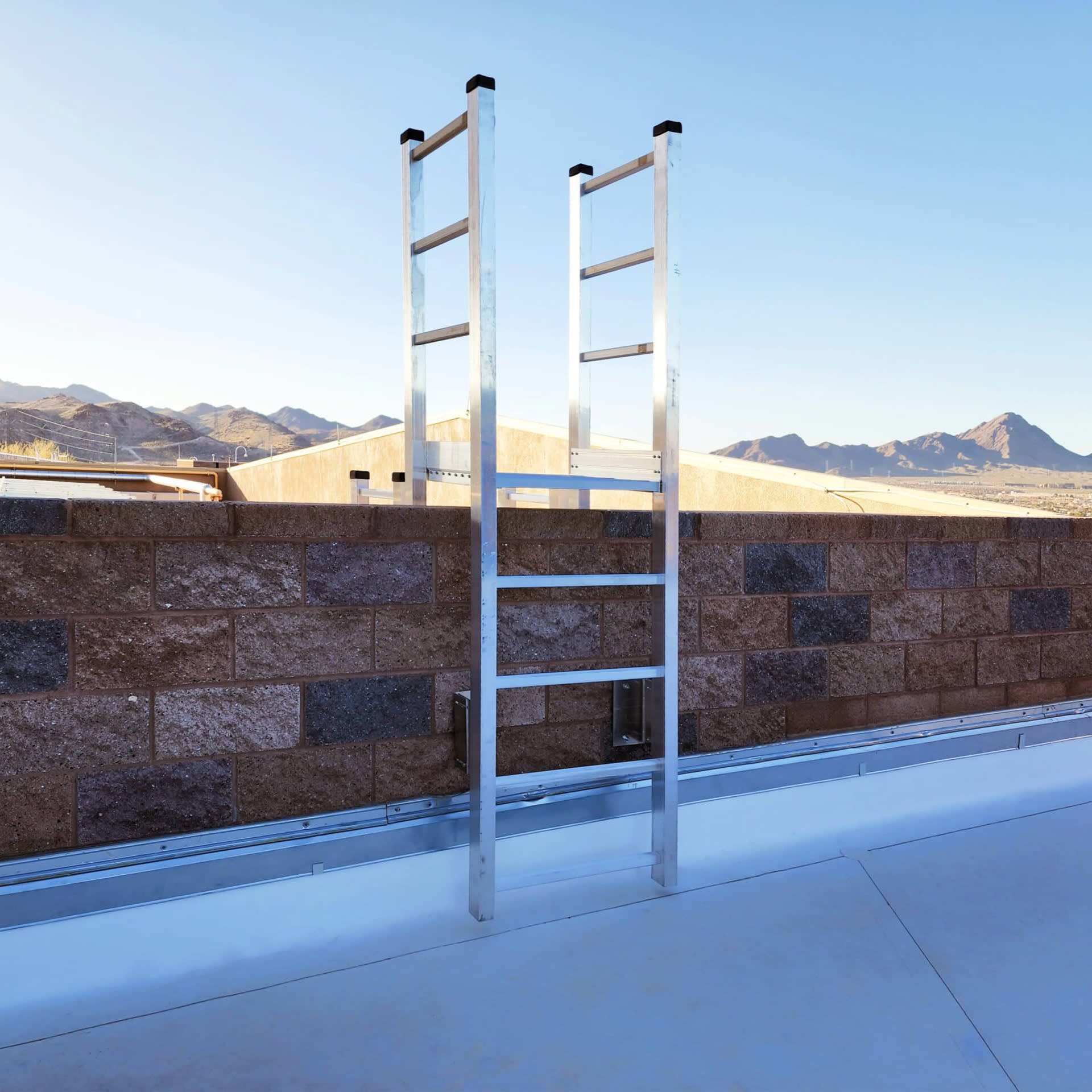 503A Access Ladder