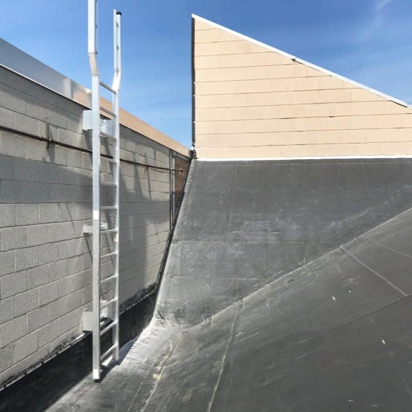 504 Access Ladder