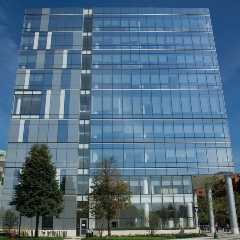 Laminated Glass
