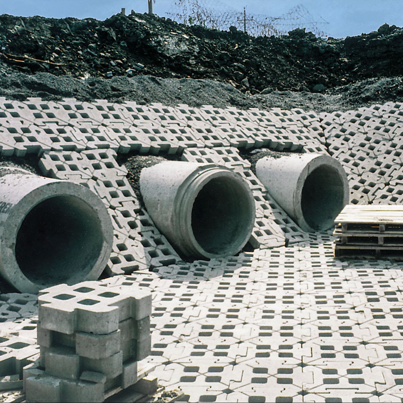 Dura-Mat