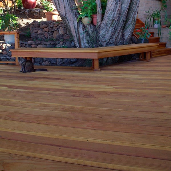 Redwood