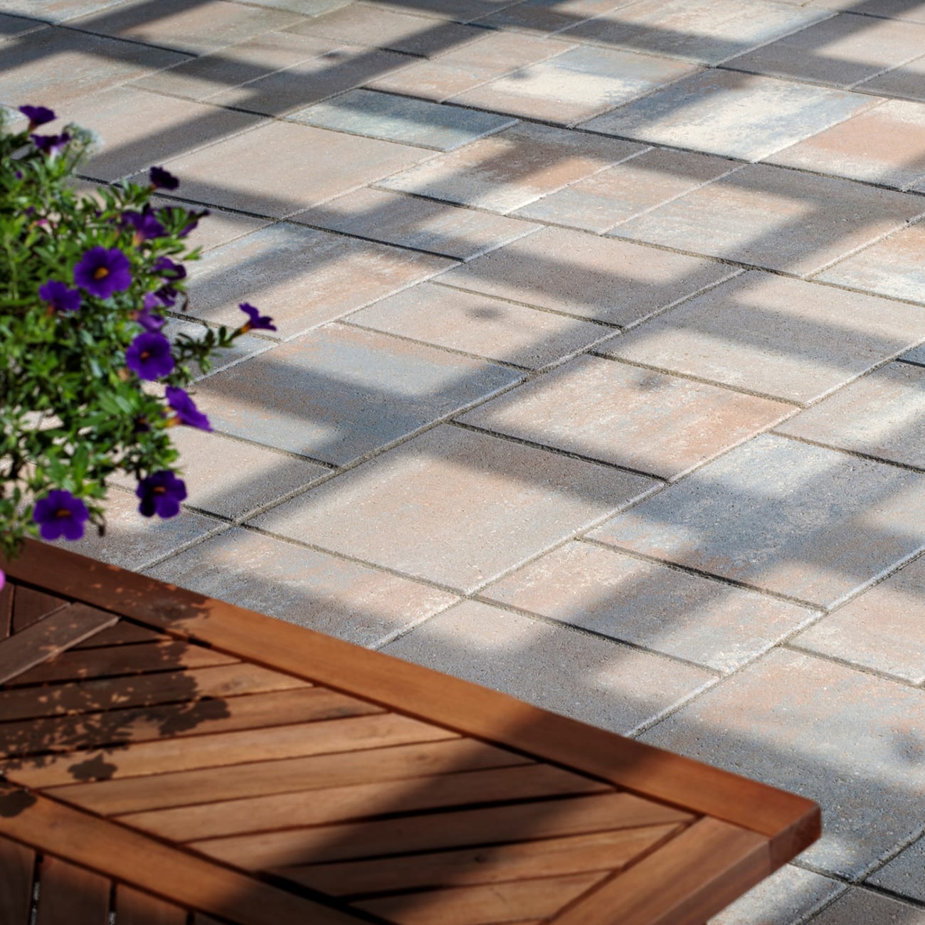 Catalina Grana Paver