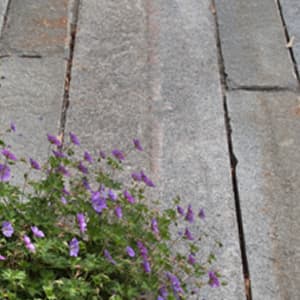 Reclaimed Standard Granite Curb