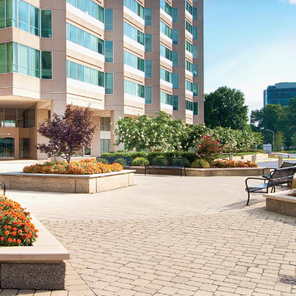 Appian Natural Finish