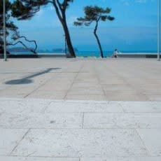 Coral-Pave