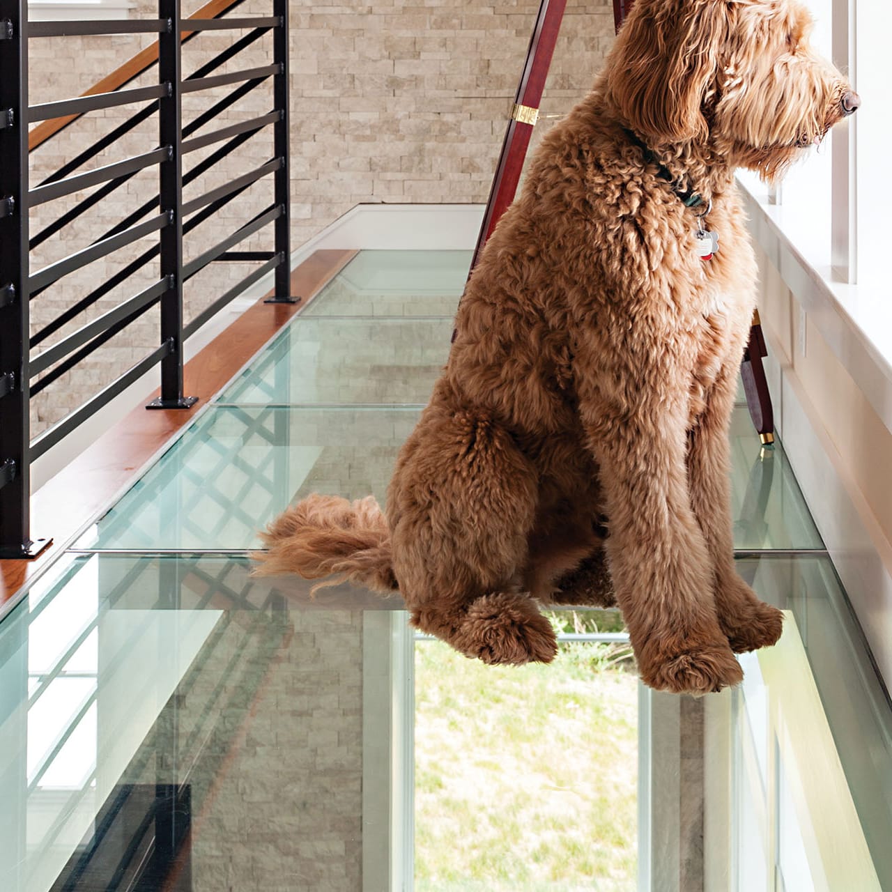 GlassWalk