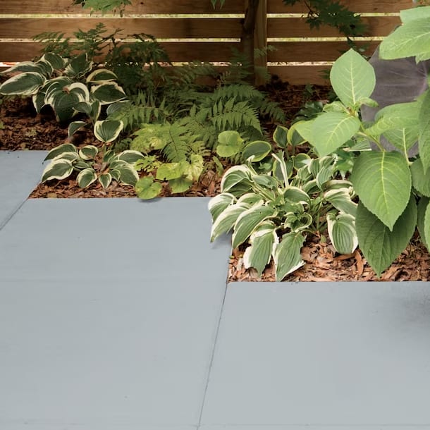 Pool Deck & Walkway