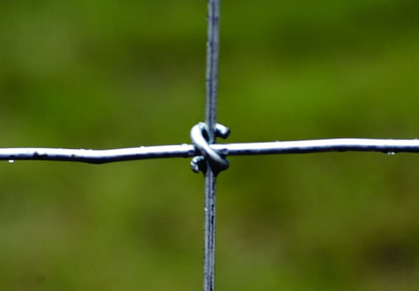 Max-Tight Fence
