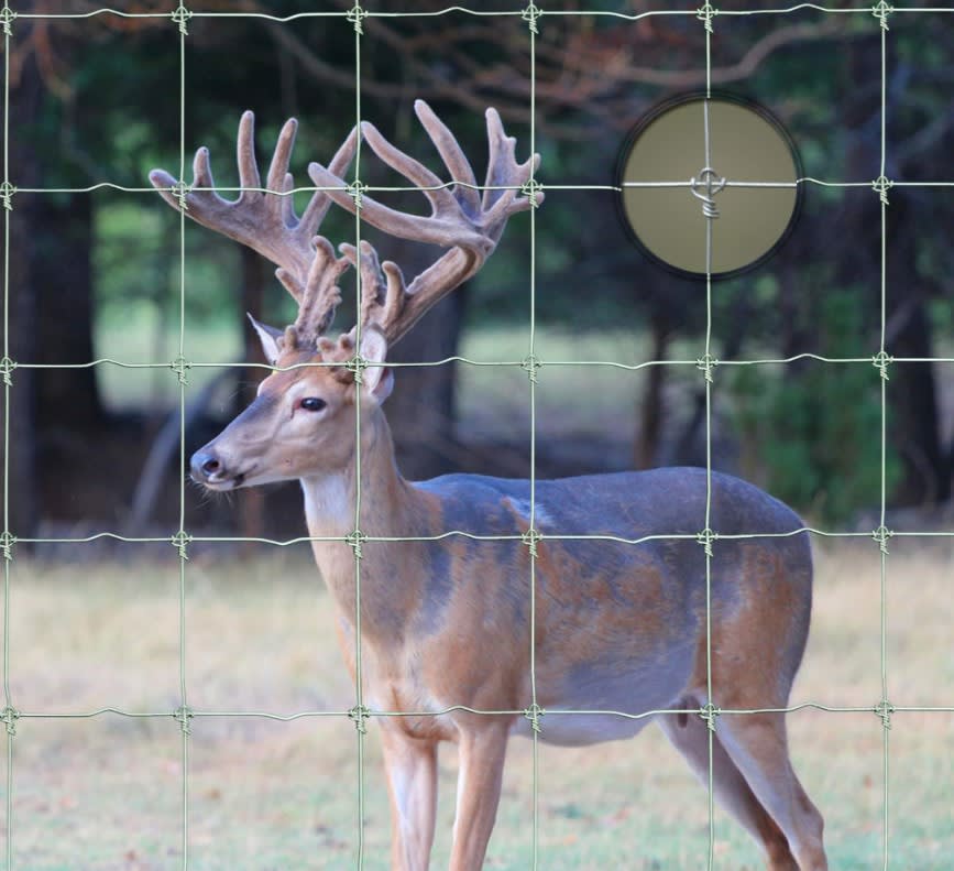 Max-Loc Fence
