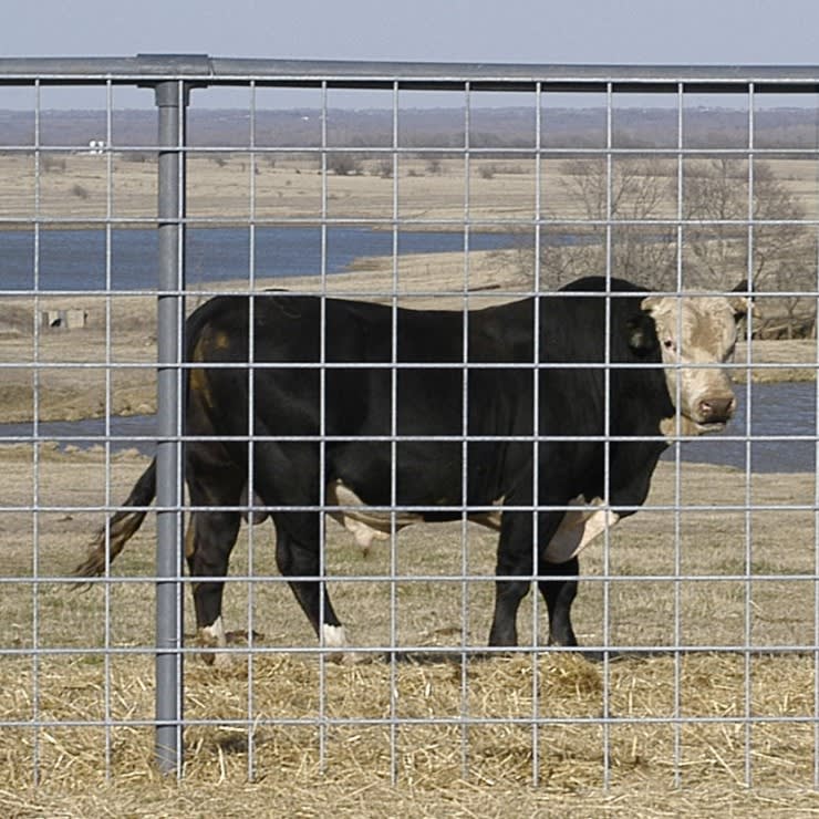 Bull Panels