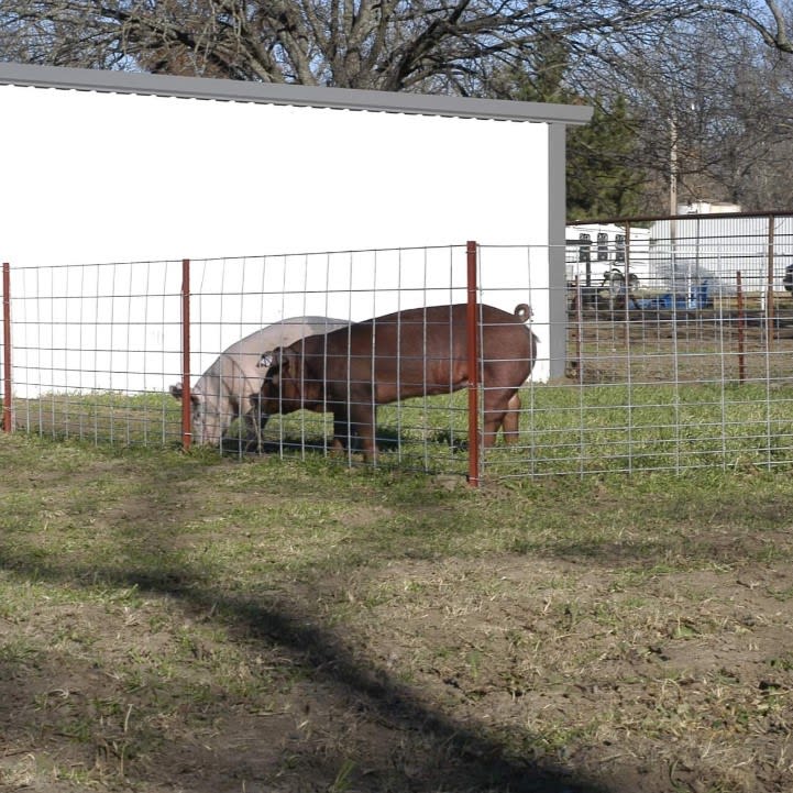 Hog Panels