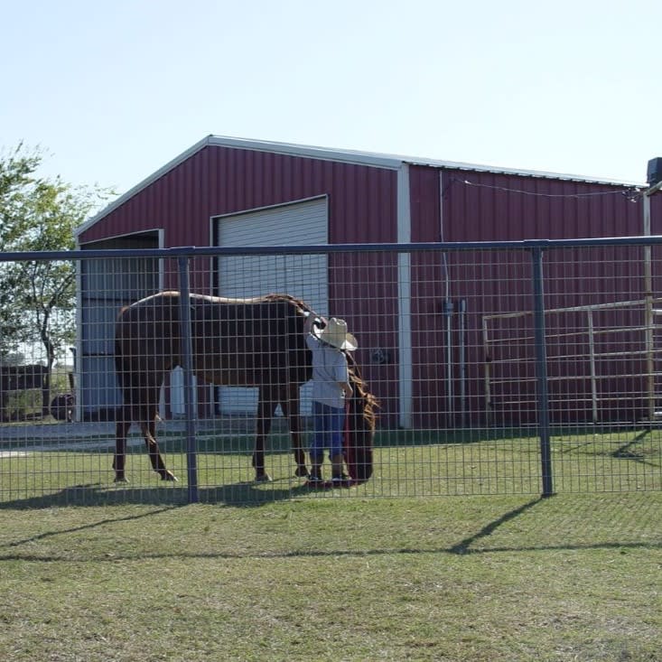 Horse Panels