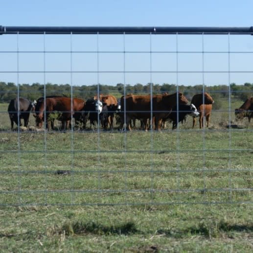 Kennel Panels