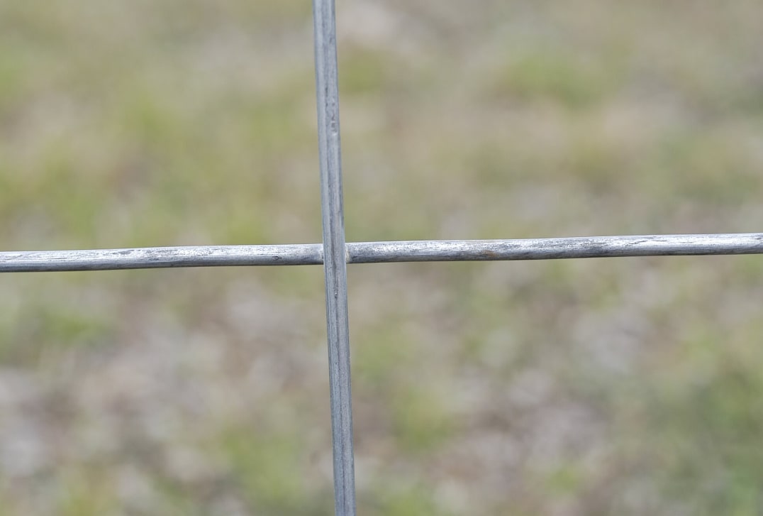 Max 50 Cattle Panels