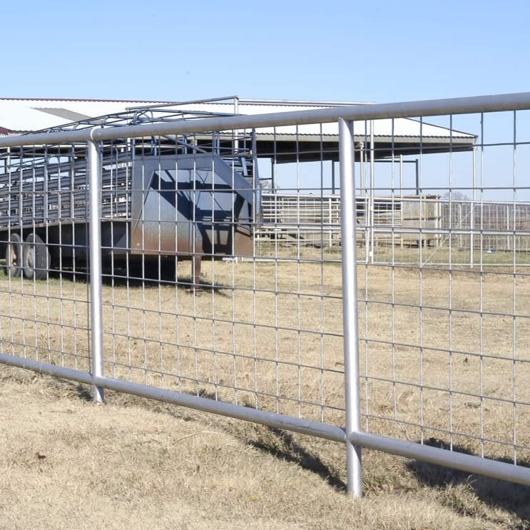 Ranch Fence