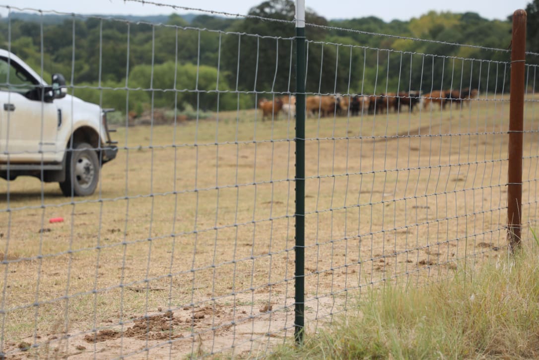 Field Fence