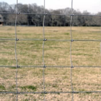 Sheep & Goat Fence