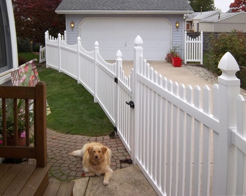 Fencing