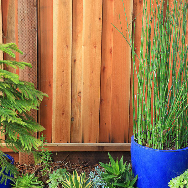 Fence