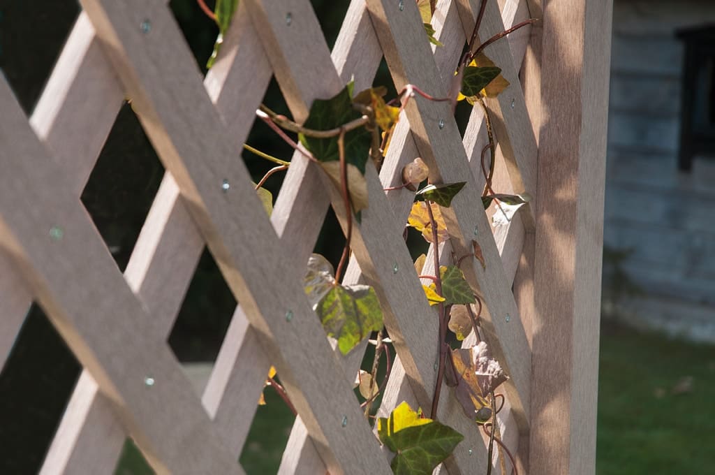 Climbing Aid Fence