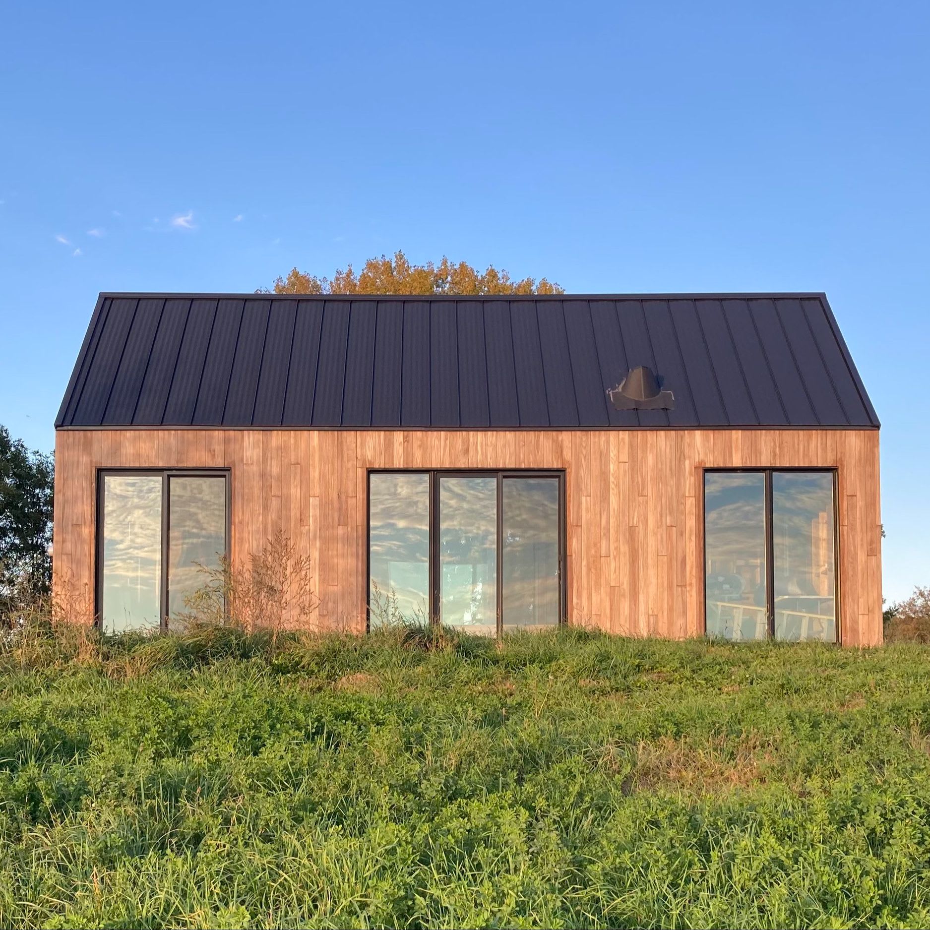 Oak Siding