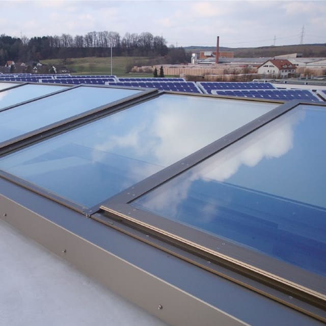 Skylight Window