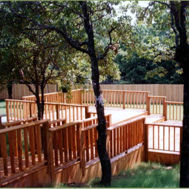 Alaskan Yellow Cedar