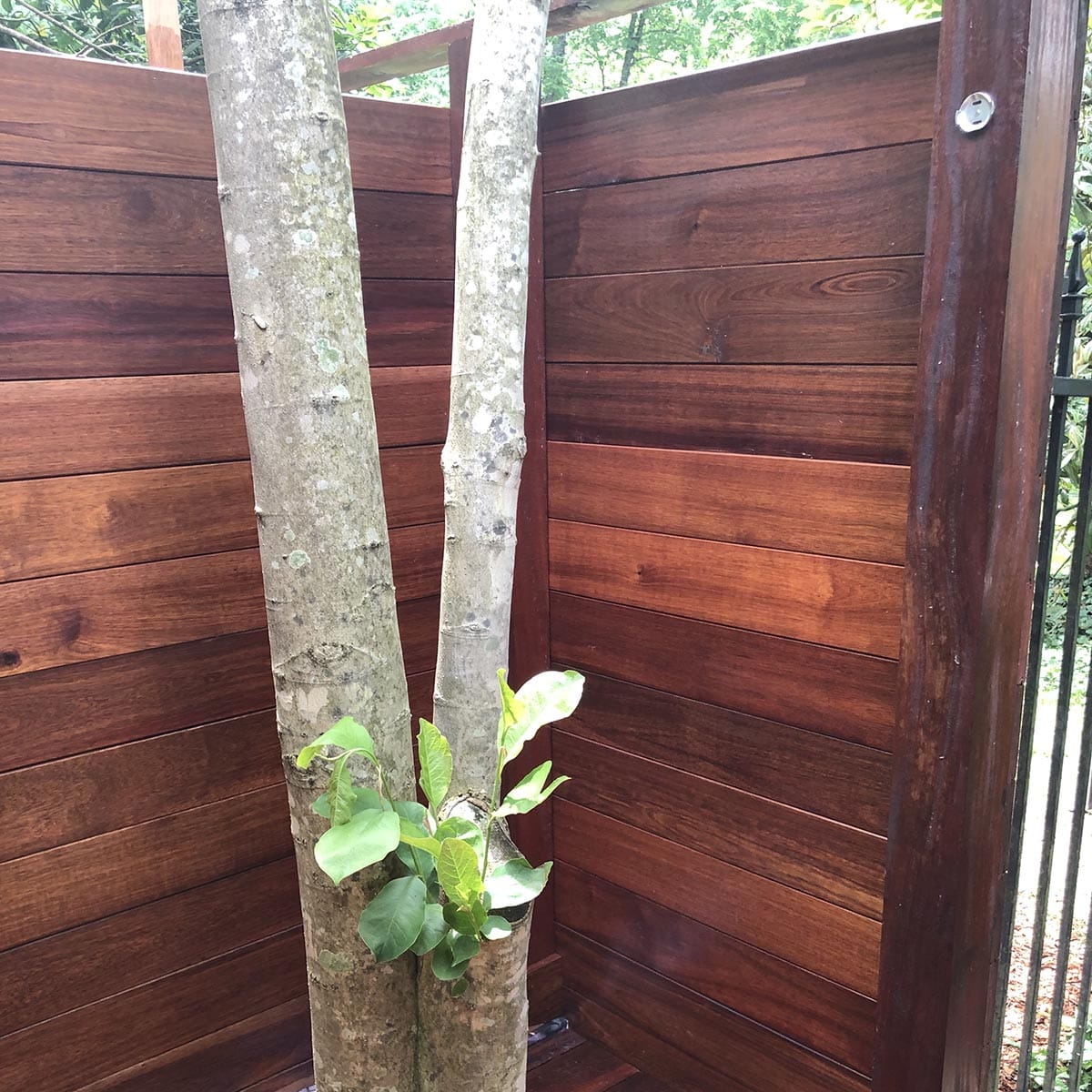 Fence Board