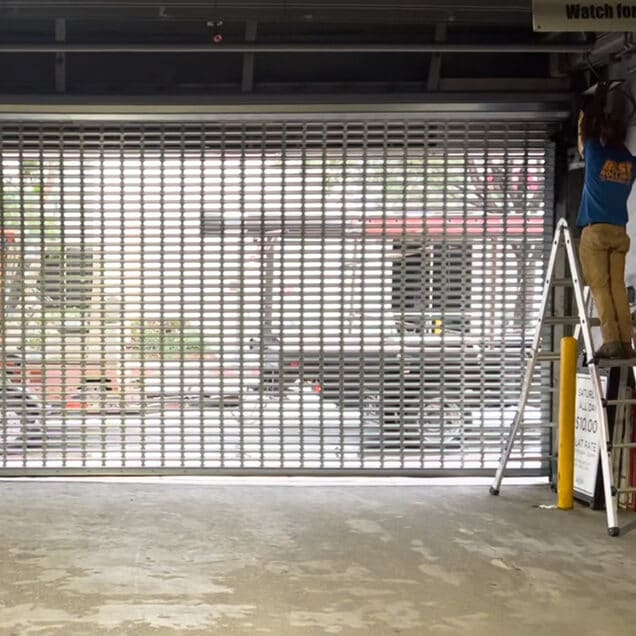 Vision Lite Door