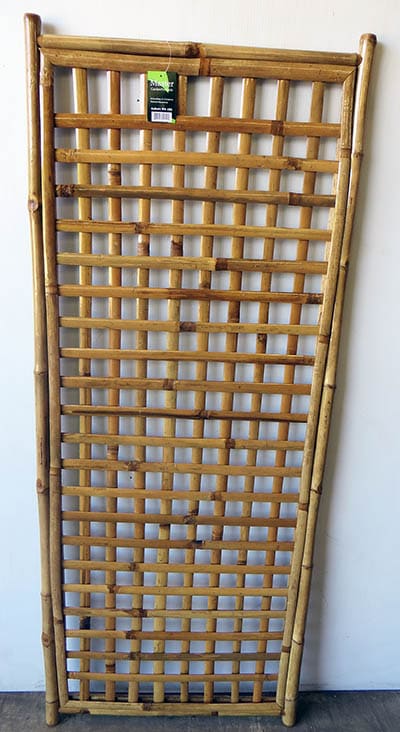Bamboo Lattice