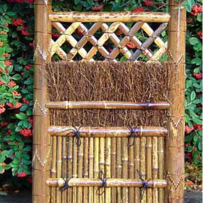 Bamboo Brushwood