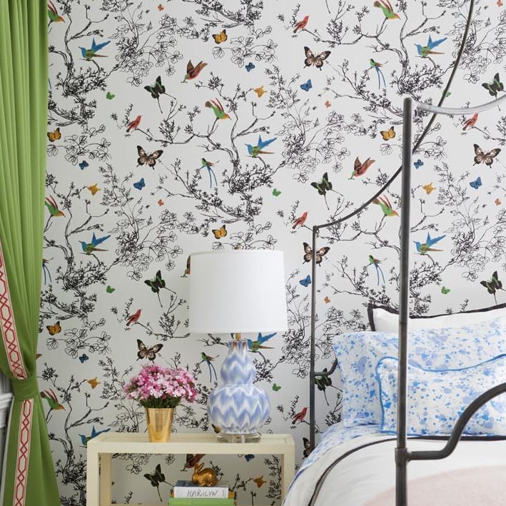 Birds & Butterflies