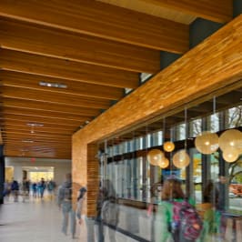 Grooved Acoustic Panels