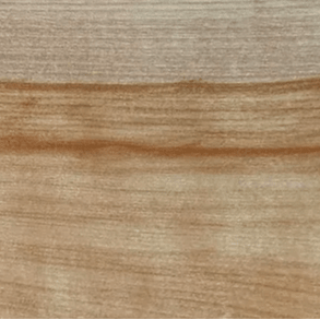 Yellow Birch