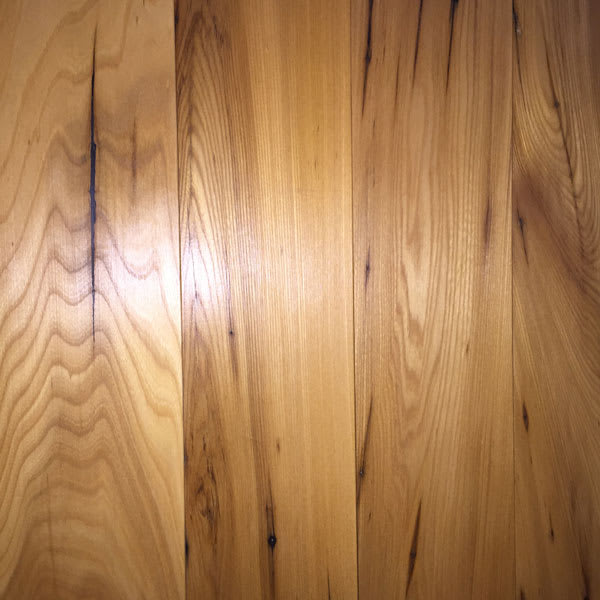 Delano Elm
