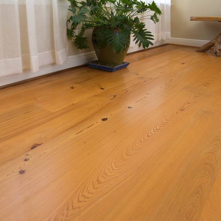 Heart Cypress Select