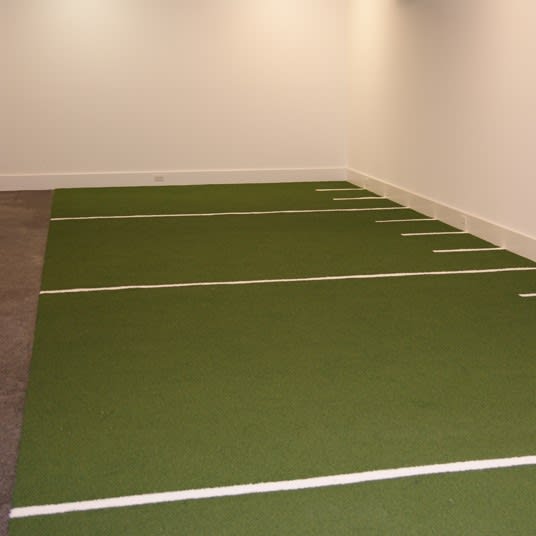 Fitness Turf
