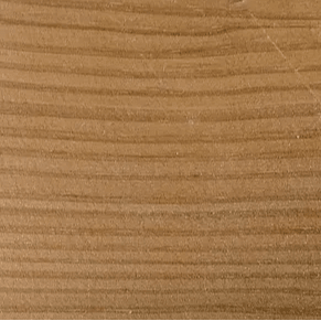 Eastern White Pine